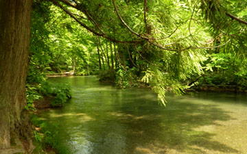 奥入瀬渓流の写真１