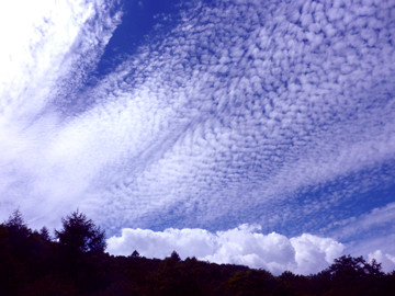 八ヶ岳での写真（入道雲に秋の空）