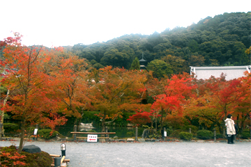 紅葉の始まった永観堂